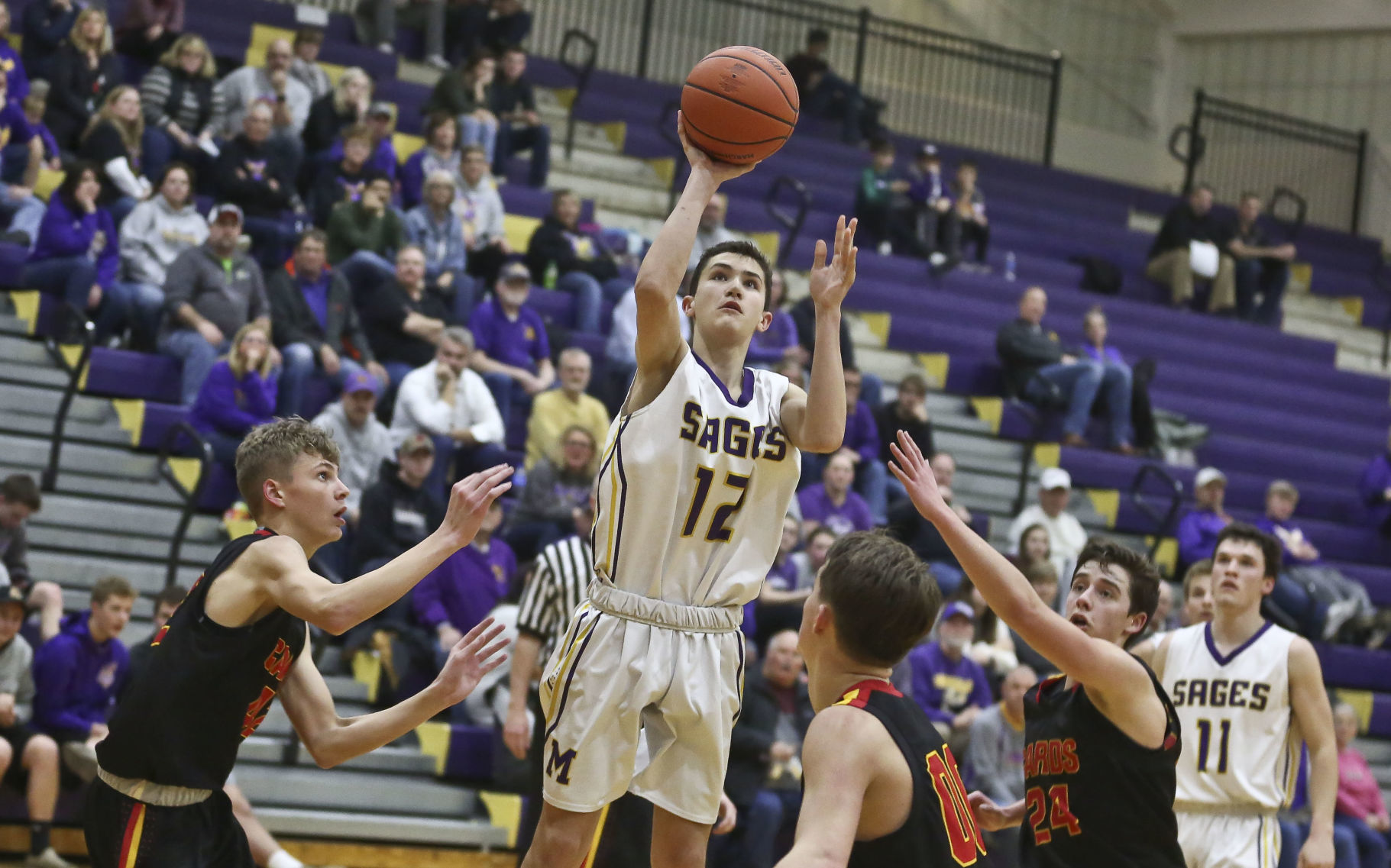 Warrensburg Latham Monticello 43 2.20.19.JPG